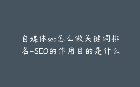 自媒体seo怎么做关键词排名-SEO的作用目的是什么